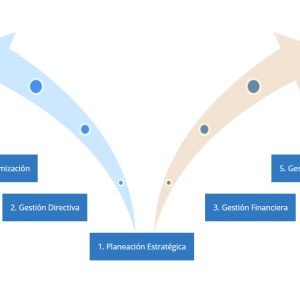 Diagnóstico Empresarial Visionare DEV