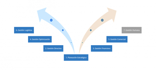 Diagnóstico Empresarial Visionare DEV